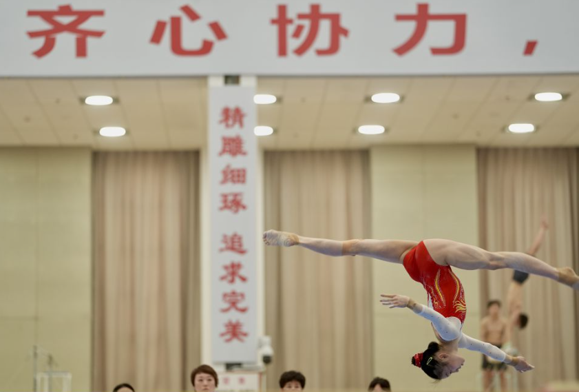 Bob体育综合入口用户体验分享与评价